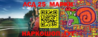 PSILOCYBIN Обь
