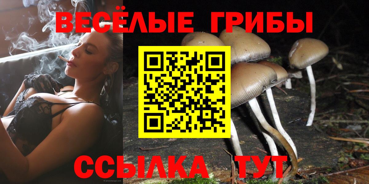 Псилоцибиновые грибы ЛСД  Вход с VPN  Советский 
