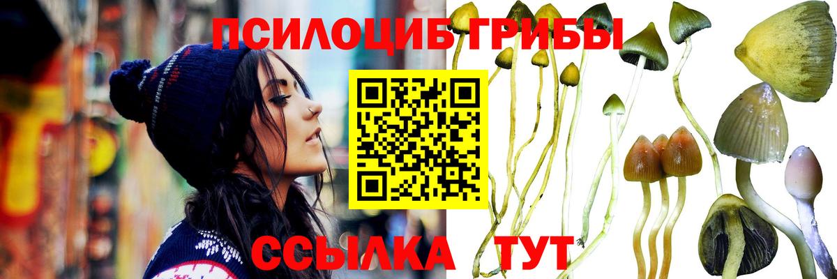 Галлюциногенные грибы прущие грибы Советский